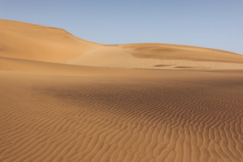 Desert Safari Image 1